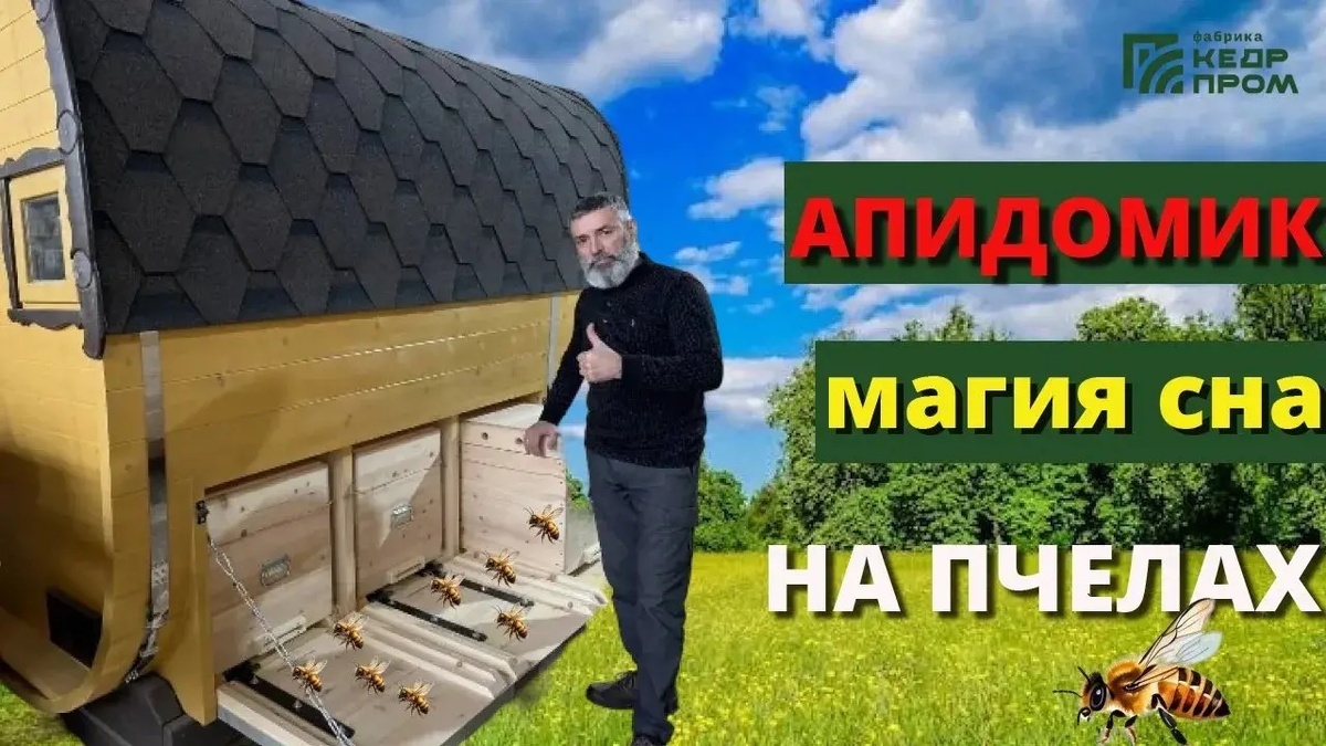 Баня бочка на даче